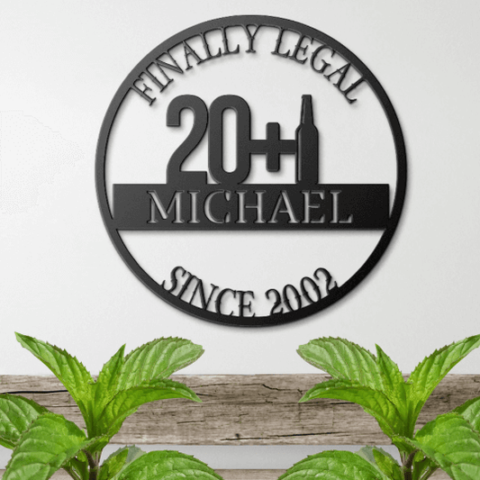 21st Birthday Funny Metal Sign For Him